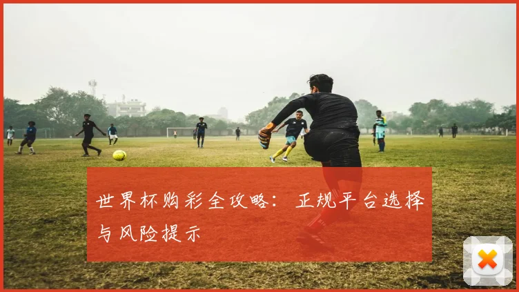 世界杯购彩全攻略：正规平台选择与风险提示