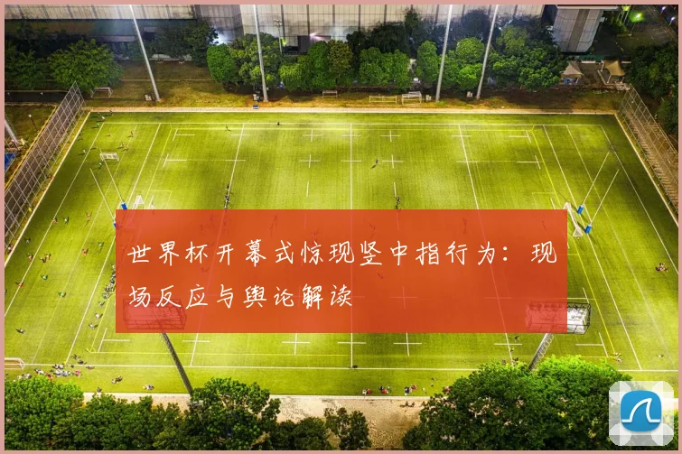 世界杯开幕式惊现竖中指行为：现场反应与舆论解读